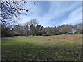 Field seen from the path between Bunch Lane and Weydown Road in GU27 1EZ