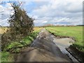 Story's Lane passing between arable fields near Tacolneston in NR16 1DJ