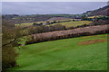 Bishop's Tawton : Grassy Field in EX32 0HY