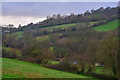 Bishop's Tawton : Countryside Scenery in EX32 0HY