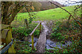 Bishop's Tawton : Footbridge in EX32 0HY