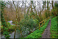 Bishop's Tawton : Footpath & Venn Stream in EX32 0HY