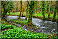 Bishop's Tawton : Venn Stream in EX32 0HY