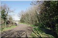 (Covid-19_3 Exercise) Path by Hangman's Wood in RM15 5JZ