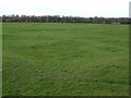Site of the Wemberham Roman Villa in BS49 4BT