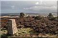 Lucklaw Hill trigpoint in KY16 0BH