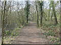 Perimeter path, Stanley Marsh local nature reserve in WF3 4NS