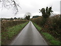 Hedge-lined minor road near to Slade Lane Farm in NR17 1PA