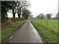 Hedge, Tree and fence-lined road mear to Wilby Warren in NR17 1PF