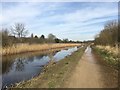 Trans Pennine Trail Along St Helens Canal in WA5 2GH