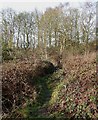 Footpath to Botterham Lane, Staffordshire in DY3 4LW