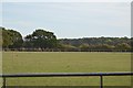 Field near Cobham Wood in TN26 1JU