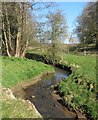 Twattleton Beck in Wildon Grange