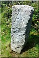 Old Boundary Marker in PL30 4DL
