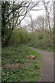 Woodland Path in Willow Park in Langdon Hills Ward