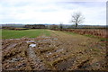 Muddy Field near Cricket Malherbie in TA19 0PW