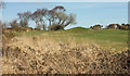 Hillocks, Teignmouth Golf Course in TQ14 9NY