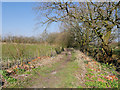 Footpath towards Bury from Doffer Fold in M26 4LX