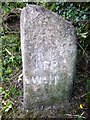 Old Boundary Marker in PL15 8PF