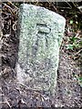 Old Boundary Marker in PL27 6HA