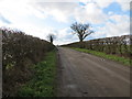 Hedge-lined track leading to Overy Farm in NR16 2JR