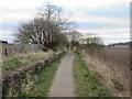 Footpath on the old Newtyle Line in DD3 0QJ