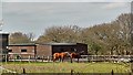 Horses on the north side of the B2116 in BN5 9AT