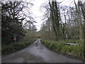 Looking from Bunch Lane into Stoatley Hollow in GU27 1EZ