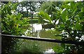 Pond at Stoney Lodge in CM4 0PG