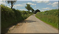Lane to South Molton in EX36 3HG