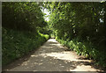 Lane near Holdridge in EX36 3HG