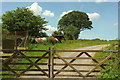 Farm track near Cross Lane Cross in EX36 3HF