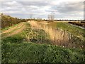 Dike, embankment and track off Garden Lane in PE13 5JS