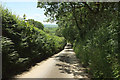 Hacche Lane past South Cockerham in EX36 3EH