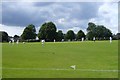 Cricket at Great Kingshill in HP15 6EZ