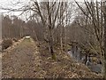 Track to Loch Ruith a' Phuill in IV14 9EJ