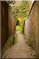 Snicket between Pullens Lane and Old Mill Lane in GU32 2AJ