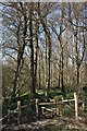 Stile into Beech Wood in TN33 0QS
