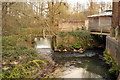 Diversion of the River Rother at Sheet Mill in GU32 2AJ