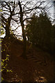Steps up from the Bridleway in GU32 2AJ