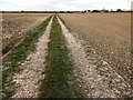 Farmland track between Station Road and Panswell Lane in PE13 5JS