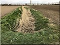 Dike with a curve in it on Nymandole Field, Wisbech St Mary in PE13 5JS