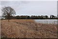 The Lake, Blickling Hall in NR11 6PU