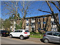 Carlton Court, Horley in RH6 8LN