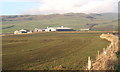 Field west of lane to Haverigg, looking to Langthwaite Farm in LA18 4NE