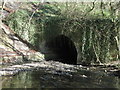 Tunnel/Culvert, Holywell Dene in NE26 4RW