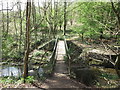 Footbridge over the Seaton Burn, Holywell Dene in NE26 4RW