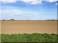 Farmland at Upwell Fen in PE14 9PL
