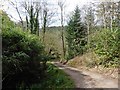 Road, above Long Combe in TA24 6BS