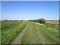 Farm track alongside a drain in NG23 5BG